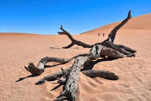 Namib-desert-di-Aymar-Elisa-1°-Premio-Tema-Paesaggio 5° CONCORSO FOTOGRAFICO CITTA' DI SAN GIOVANNI IN FIORE