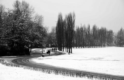 Passeggiata-nel-Parco-di-Ermanno-Campalani-Migliore-Autore-Regione-Lombardia 5° CONCORSO FOTOGRAFICO CITTA' DI SAN GIOVANNI IN FIORE