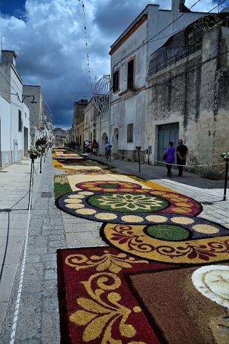 Tappeto-floreale-di-fernando-Spirito-Migliore-Autore-Regione-Puglia 5° CONCORSO FOTOGRAFICO CITTA' DI SAN GIOVANNI IN FIORE