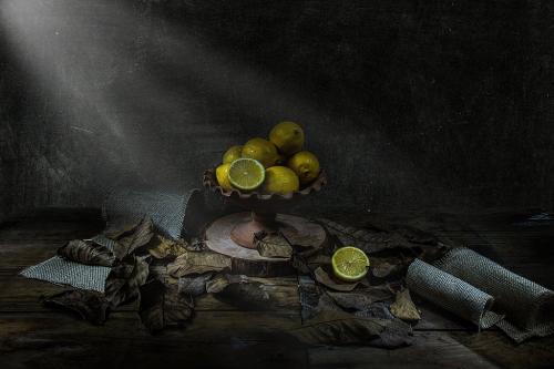 Trono-di-limoni-di-Francesco-Casole-Premio-Speciale-Natura-Morta 5° CONCORSO FOTOGRAFICO CITTA' DI SAN GIOVANNI IN FIORE