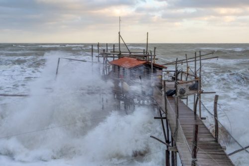 PREMIO-Paesaggio_QuietiLaura_Resilienza 11° CFN Città di Anghiari