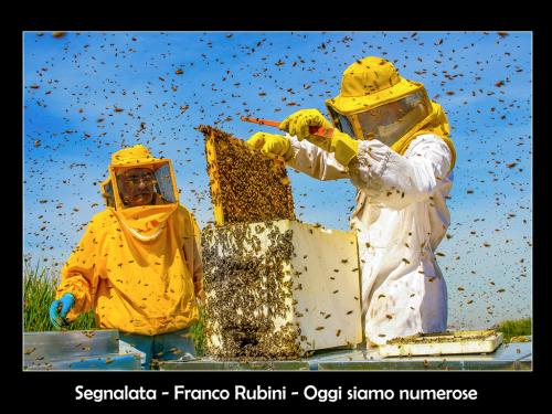 16 C.F.N. Il cibo è cultura