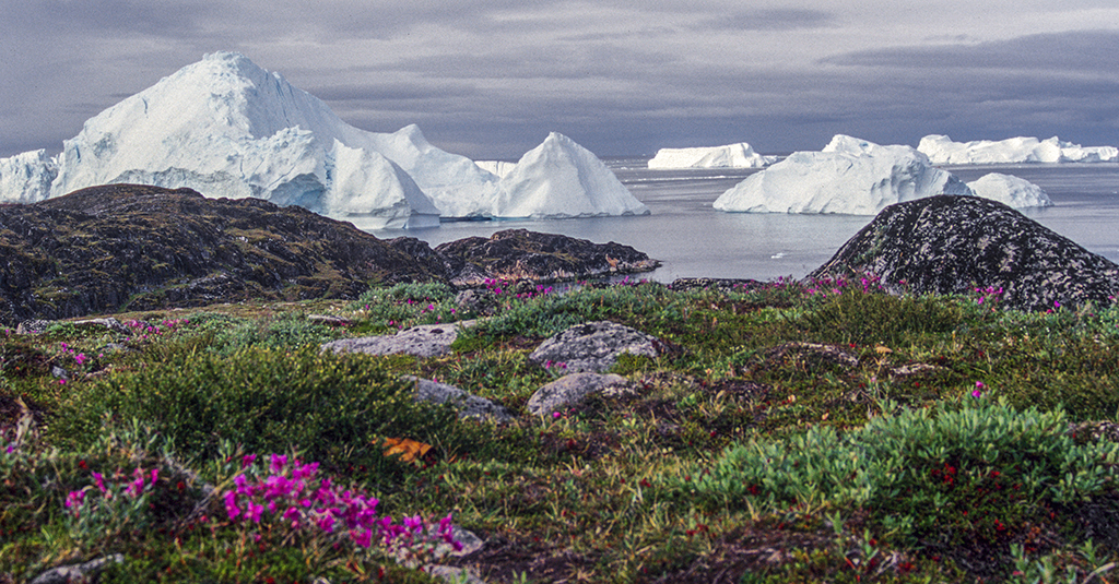 Greenland77 Roberto De Leonardis