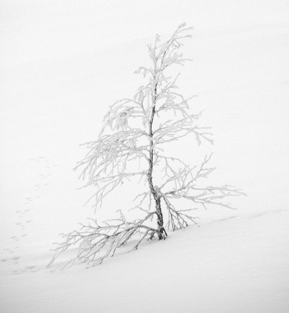Finland82 Roberto De Leonardis