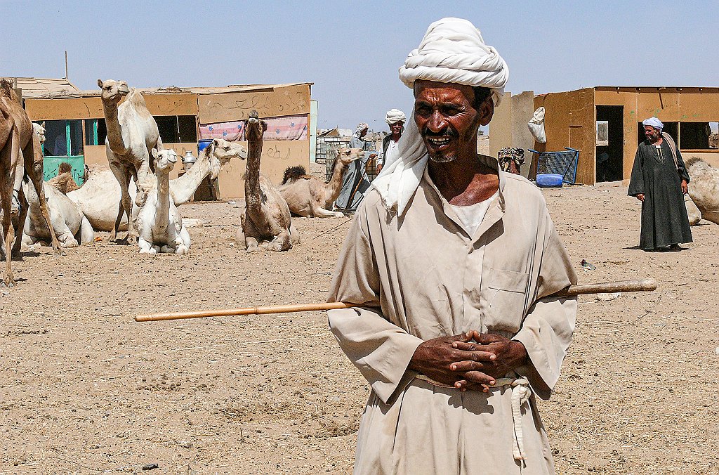 Dromedary-market33 Roberto De Leonardis
