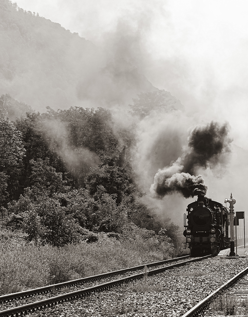 Steam-train83 Roberto De Leonardis