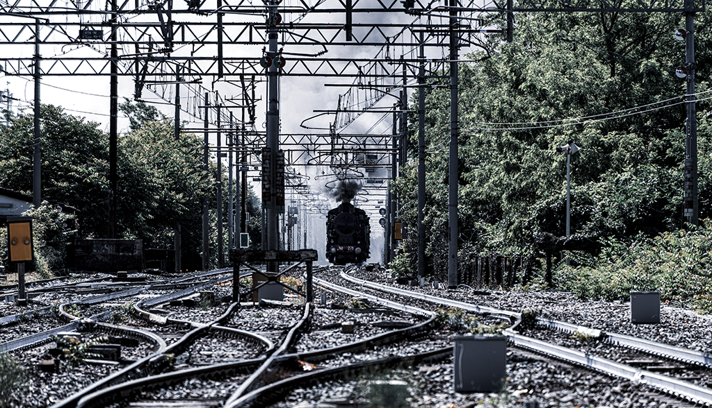 Train81 Roberto De Leonardis