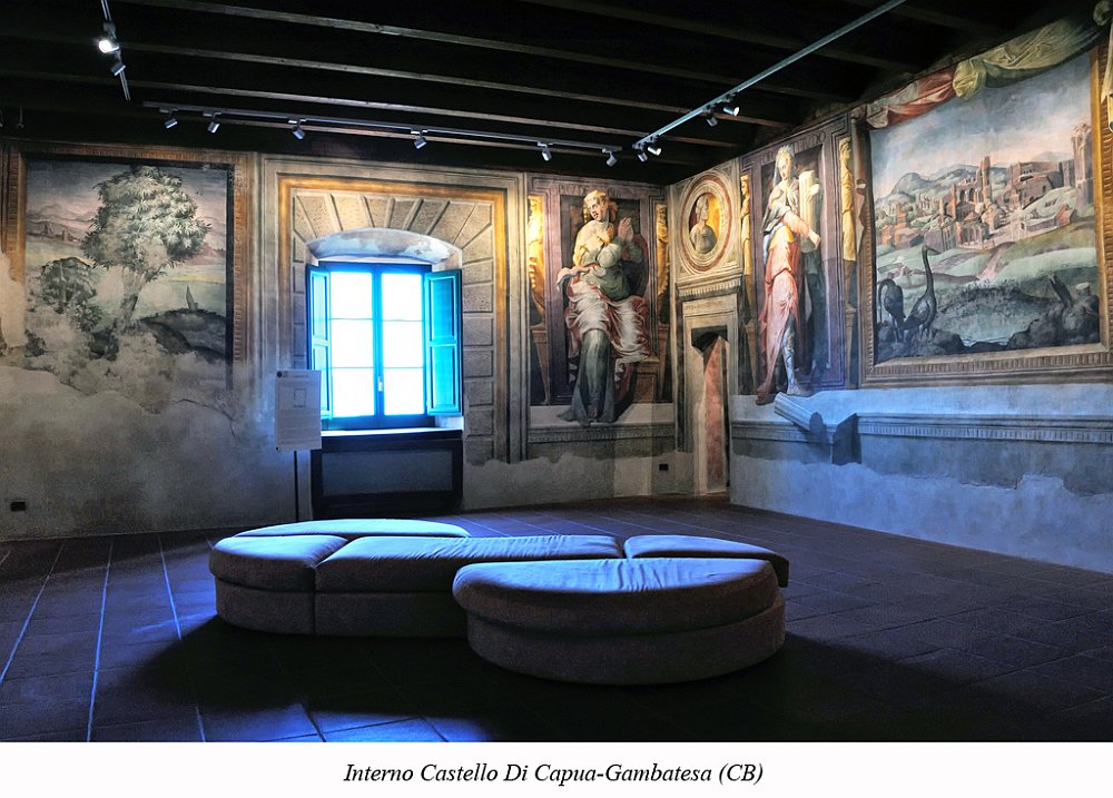 08-copia Saverio Zarrelli