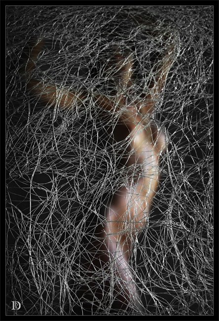 Delicate-hint Dina Bova