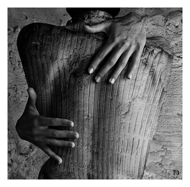 Metamorphosis Dina Bova