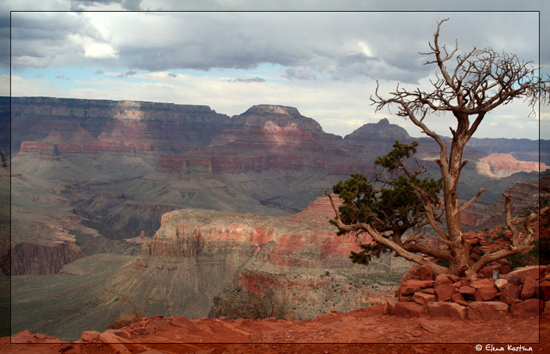 grand-canyon Elena Kostina