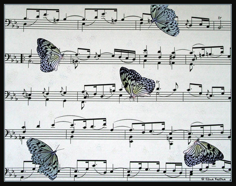 notes Elena Kostina
