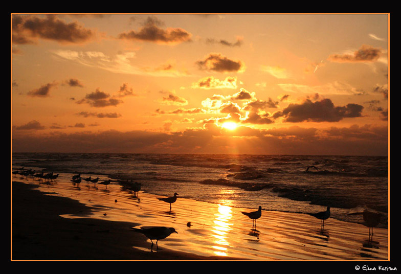 sunrise Elena Kostina