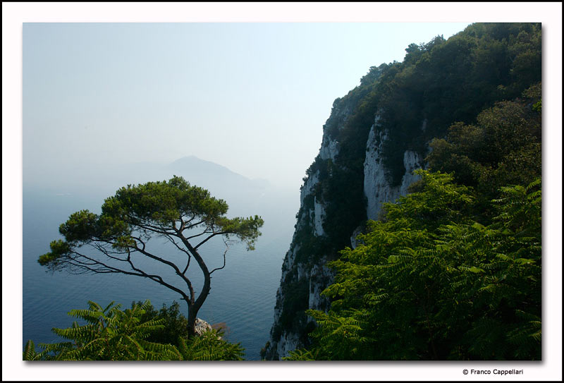 Capri Franco Cappellari