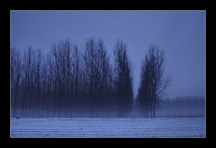 NEVE Marco Giardini