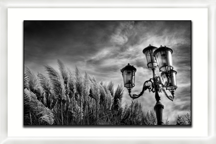 candelabro Mimmo Irrera