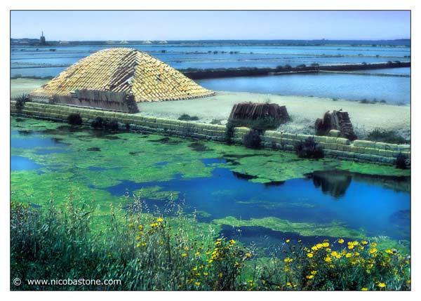 marsala_saline Daria Alexandrova