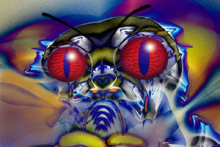 Insect Piksin Thè