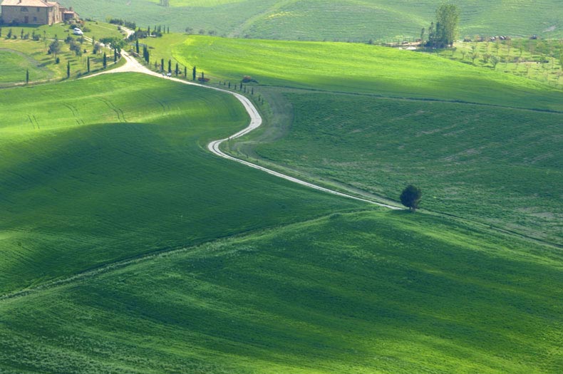Strada4 Sergio Buttà