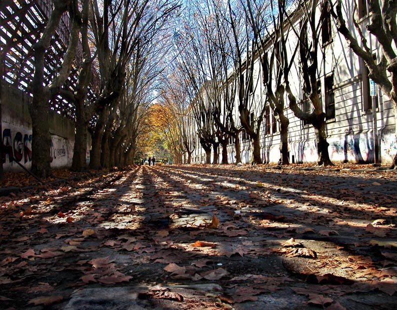 galleria-dellautunno Silvia Marmori