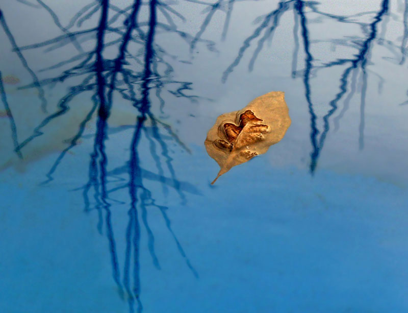 sui-sogni Silvia Marmori