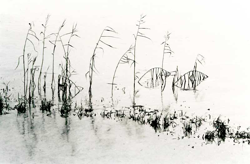 The-reed-in-the-ice.jpg Zhang Li Qun