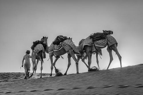 DEL-GHIANDA-GIULIA-SHARQIYA-SANDS-4 20° CONCORSO FOTOGRAFICO UIF-INTERNET 2023