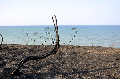 POGGIALI-ROSSELLA-SICCITA-INCENDI 20° CONCORSO FOTOGRAFICO UIF-INTERNET 2023