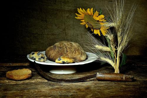 SPIRITO-FERNANDO-SPIGHE-PANE-E-GIRASOLE 20° CONCORSO FOTOGRAFICO UIF-INTERNET 2023