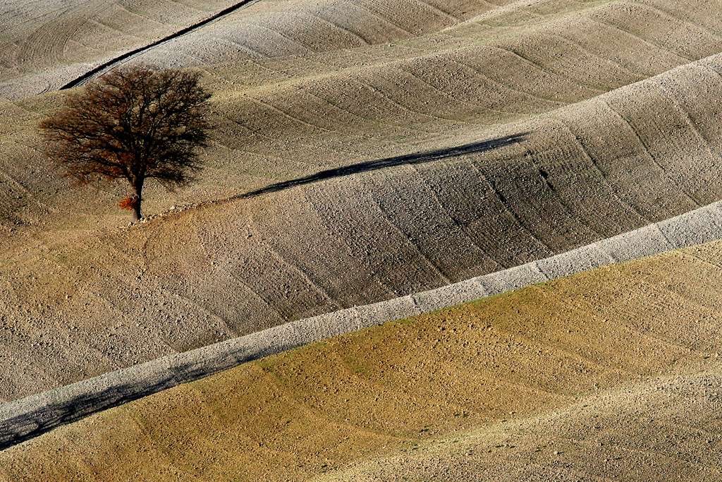 01 Panorama Toscano di Valter Pratesi