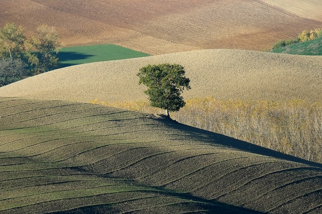 03 Panorama Toscano di Valter Pratesi