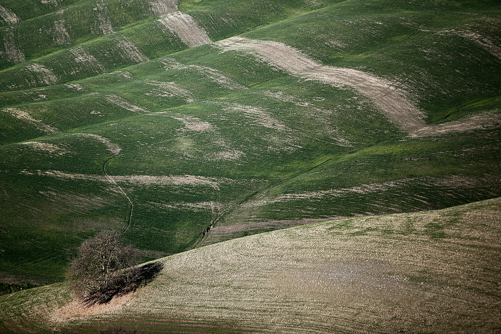 04 Panorama Toscano di Valter Pratesi
