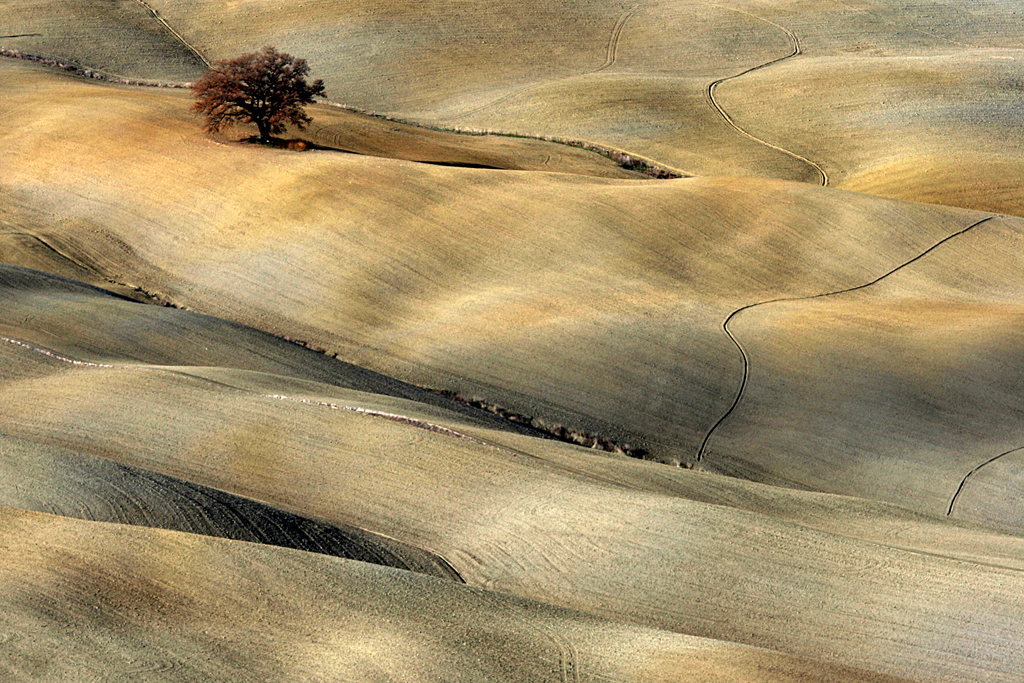 05 Panorama Toscano di Valter Pratesi