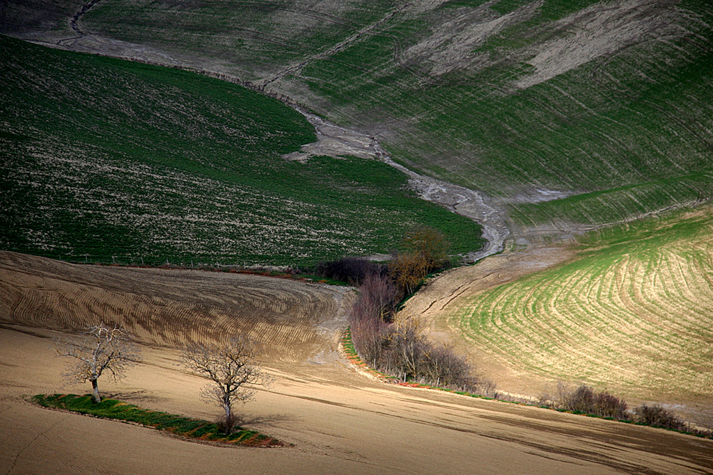 07 Panorama Toscano di Valter Pratesi