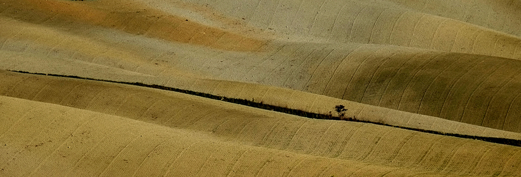 21 Panorama Toscano di Valter Pratesi