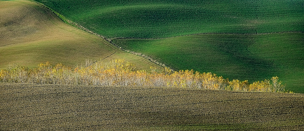 22 Panorama Toscano di Valter Pratesi