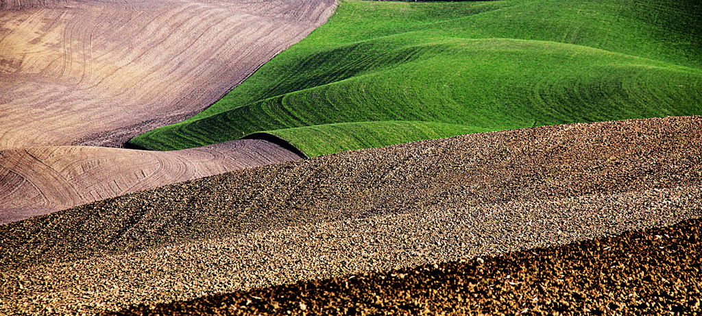 23 Panorama Toscano di Valter Pratesi