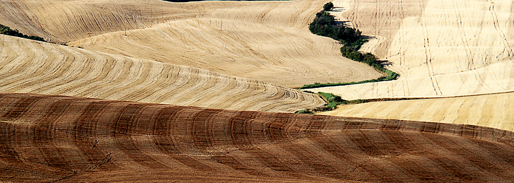 25 Panorama Toscano di Valter Pratesi