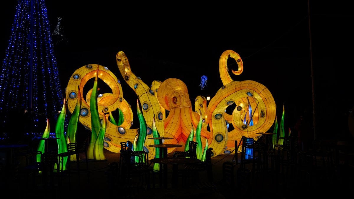 14 Luci a Gaeta di Vincenzo Bianco
