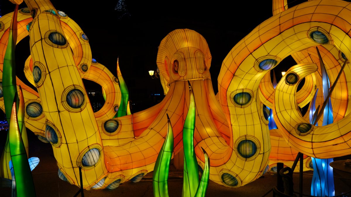 15 Luci a Gaeta di Vincenzo Bianco