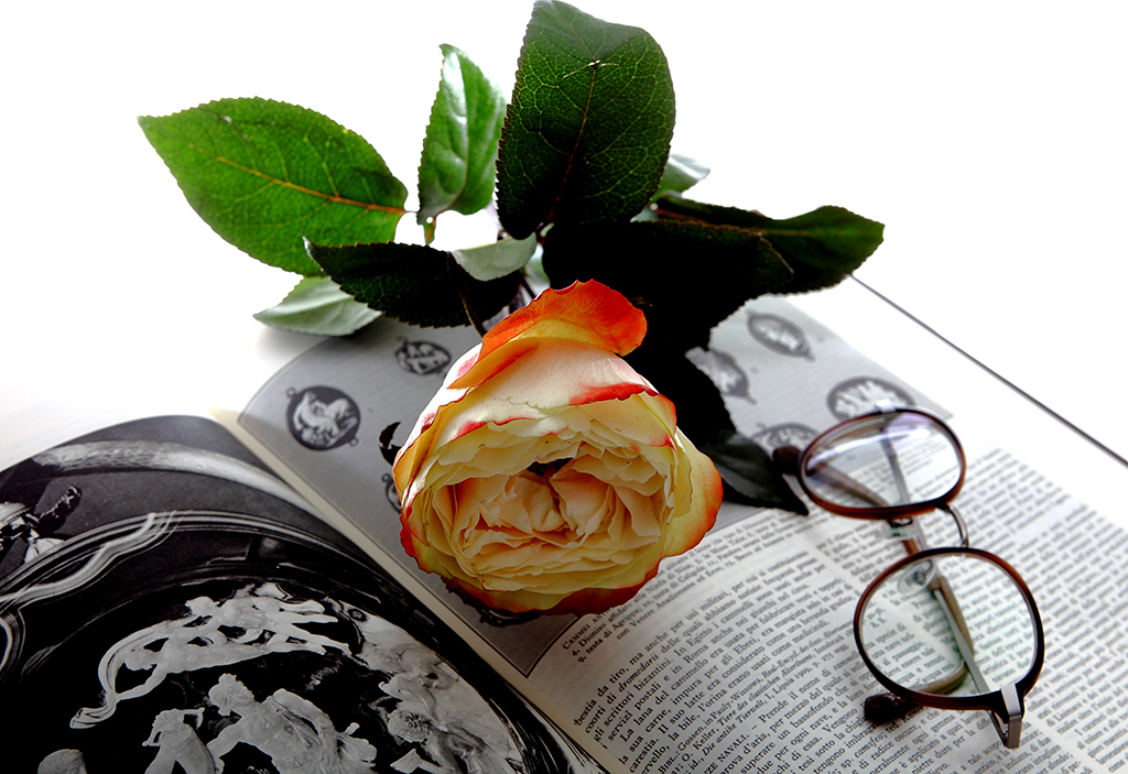18-copia Vincenzo Montalbano